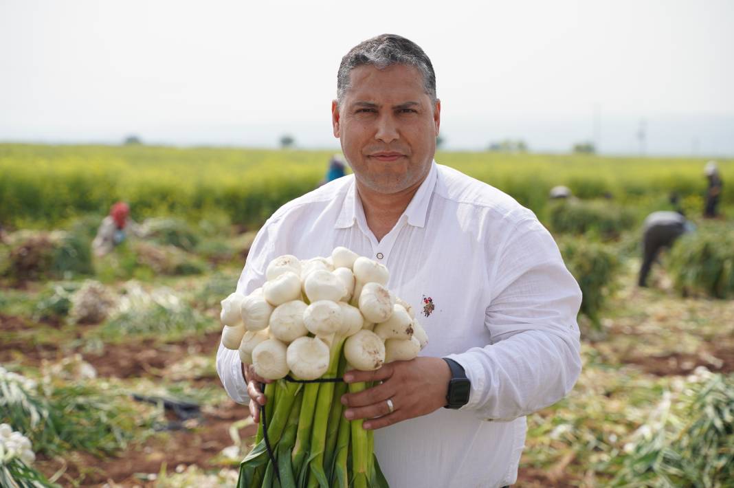 Saç dökülmesini önlüyor kabızlığı bitiriyor. Beyaz altının hasadı başladı kilosu 20 TL 4